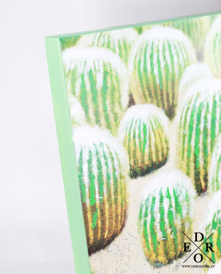 Bild "Kaktus" - Dero Home & Living