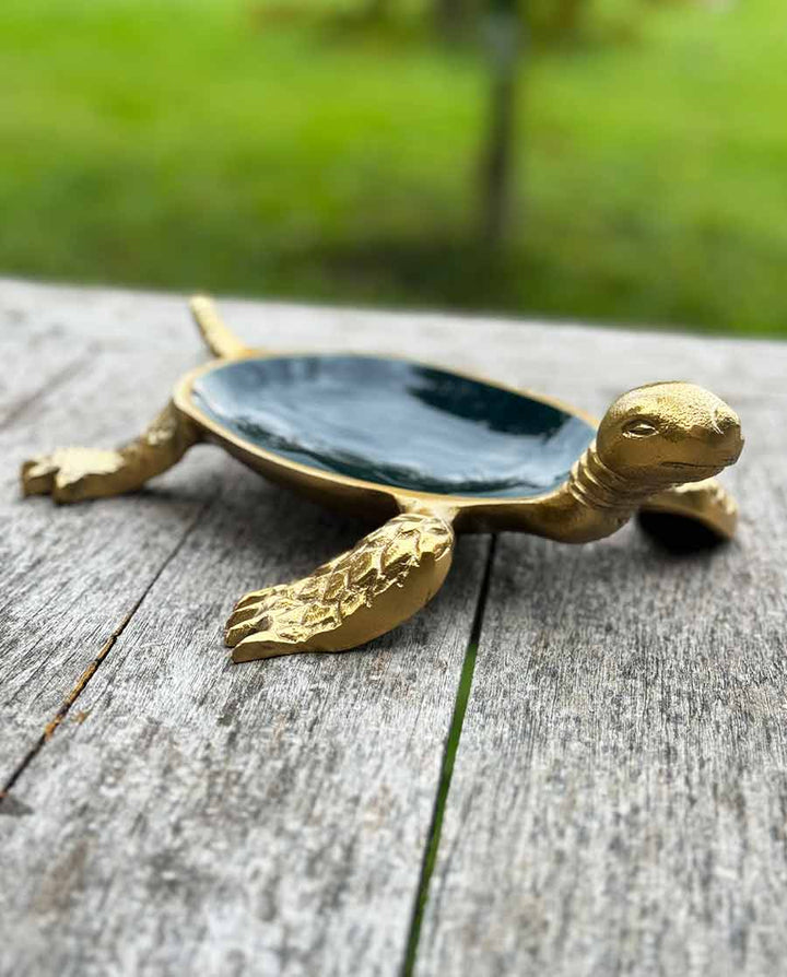 Schale "Green Turtle" – die kleine Schale mit großem Charme - Dero Home & Living