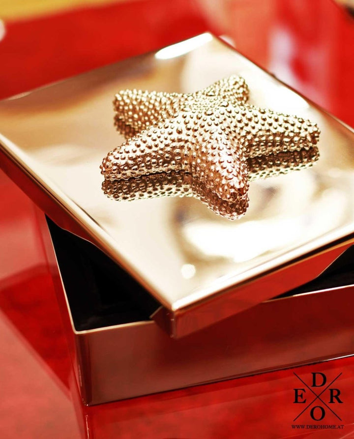 Seestern Schmuck Box "Saphir" - Dero Home & Living